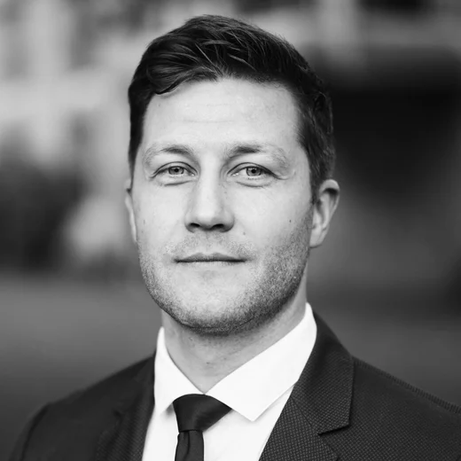 Dr. Fabian Braesemann